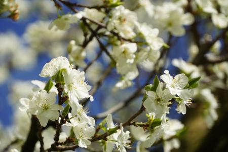 Frühling Archehof 2023 01.JPG