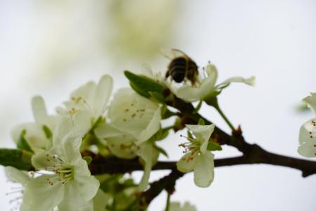 Frühling Archehof 2023 02.JPG