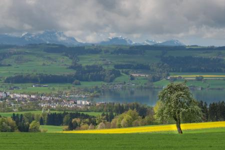 FrühlingsBlüten 2023 08.jpg