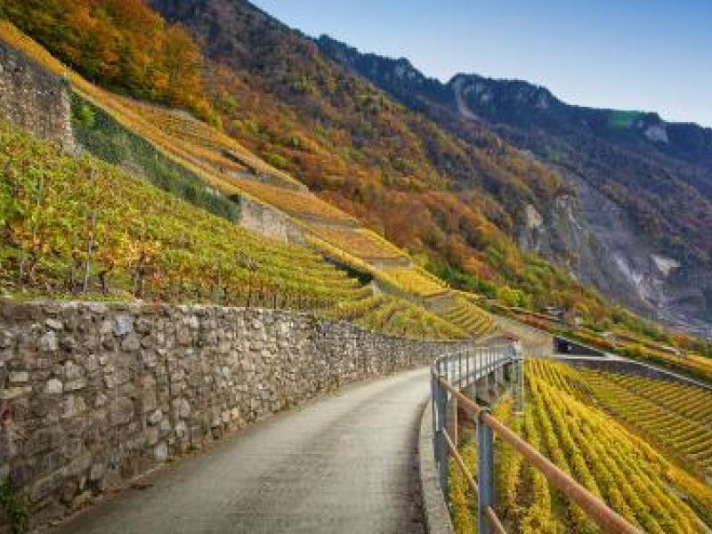 12. ClosDuChâtelard (ref dpr 3 SCH).jpg