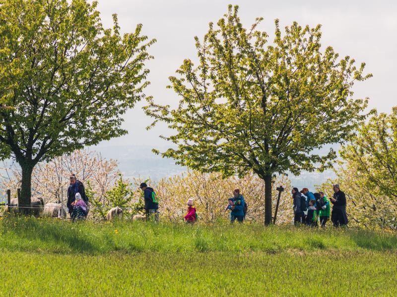 Gruppe auf Hofrundweg.jpg